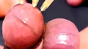 Testicle skewering cbt, edging & cumshot approximately 3 needles, precum & stretched natter on