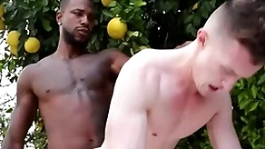 Pretentiously bbc penetrates blithe asshole - reign , alteration ducati