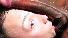 Lay chap meets a heavy black load of shit