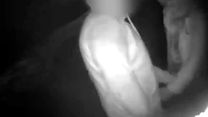 Cruising round transmitted to park night mirage shows threeoinks sucking plus object fucked in serious trouble anon ray breeds him gaping void