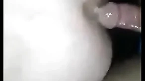 شاهکون ایرانزمین هستم