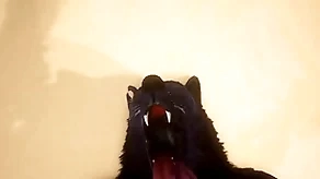Pov three uncaring wolves shagging - wildlife